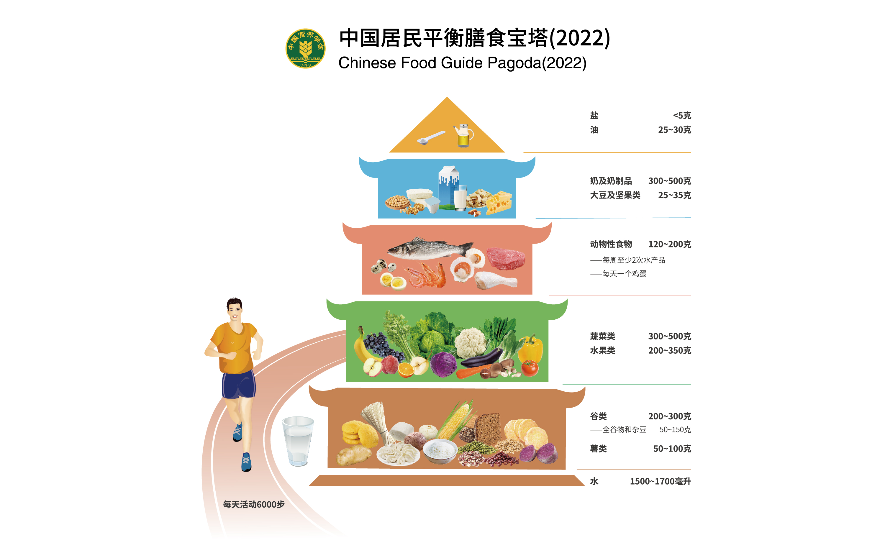 膳食宝塔